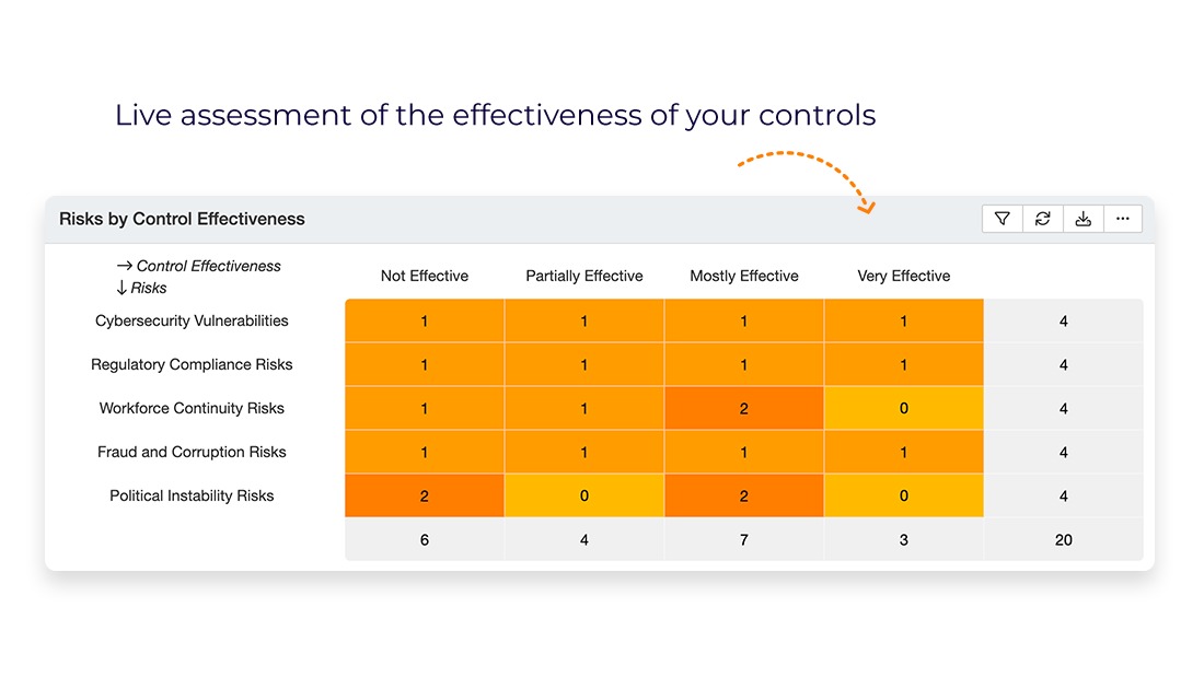 Control effectiveness view-Government